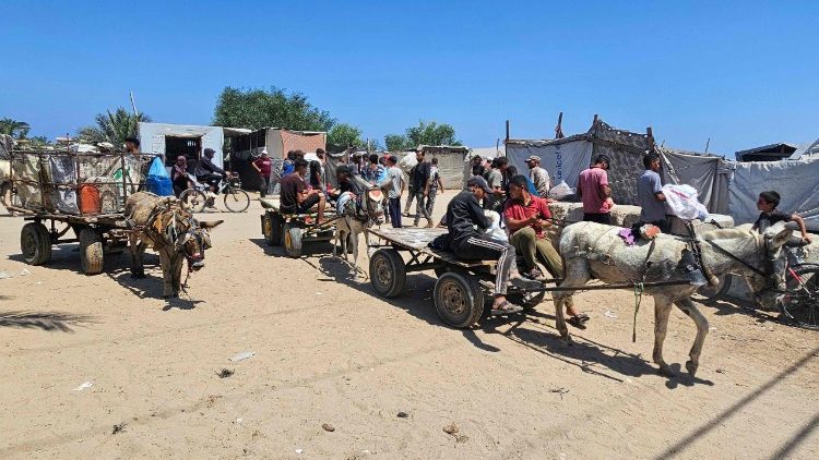 Palestinesi nell'area di Rafah si spostano su carretti trainati da asini per la scarsità di carburante a Gaza