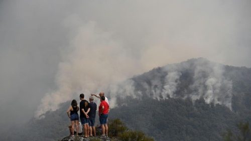 Касцёлы Еўропы аб'ядноўваюцца дзеля аховы стварэння