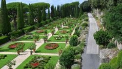 Një pamje nga Borgo Laudato si'