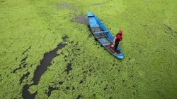 Le lac Dhal à Srinagar, la capitale du Cachemire en Inde.