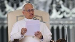 A rejtett élet lehetőségeiről szól a pápa 