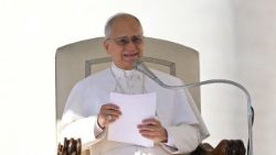 VATICAN-RELIGION-POPE-AUDIENCE