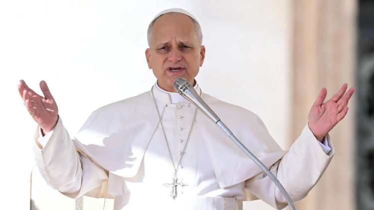 Momento durante la audiencia general 