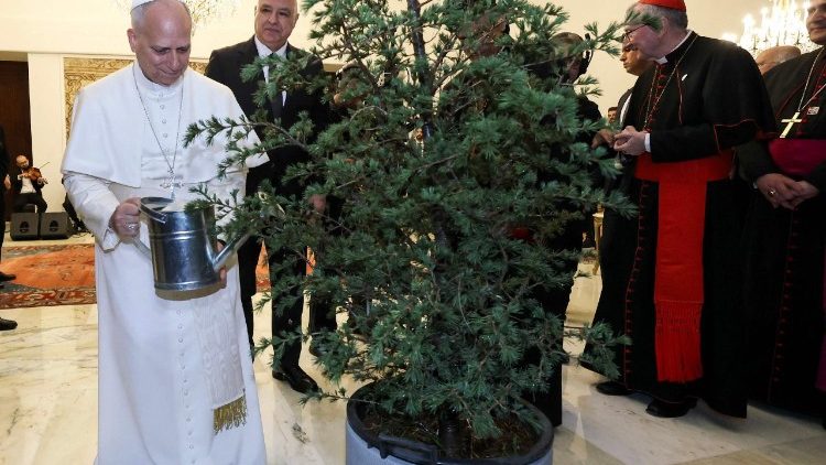 Le Pape arrose un cèdre au palais présidentiel.