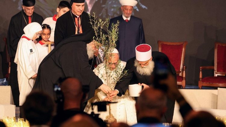 Olajfát ültettek a béke érdekében