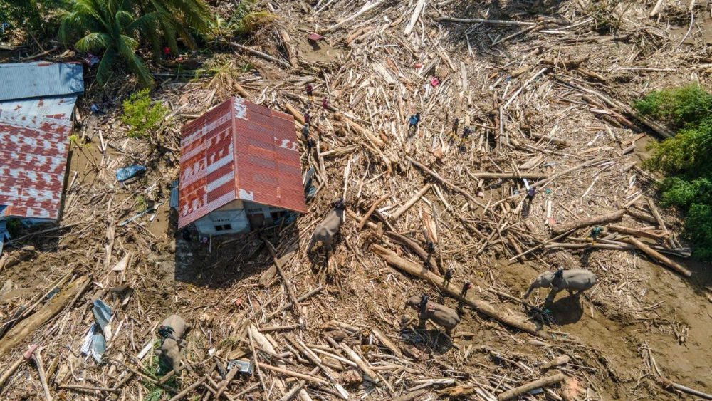 Esta imagem mostra uma vista aérea de elefantes de Sumatra ajudando a remover destroços de árvores após enchentes repentinas em Meureudu, distrito de Pidie Jaya, província de Aceh, em 8 de dezembro de 2025. Autoridades nas áreas atingidas pelas enchentes na Indonésia relataram escassez de alimentos, abrigo e medicamentos, enquanto o número de mortos chegou a 950 em 8 de dezembro, após semanas de fortes chuvas. (Foto de CHAIDEER MAHYUDDIN / AFP)