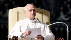 VATICAN-RELIGION-POPE-AUDIENCE