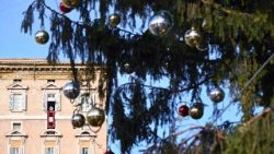 Papst beim Angelusgebet