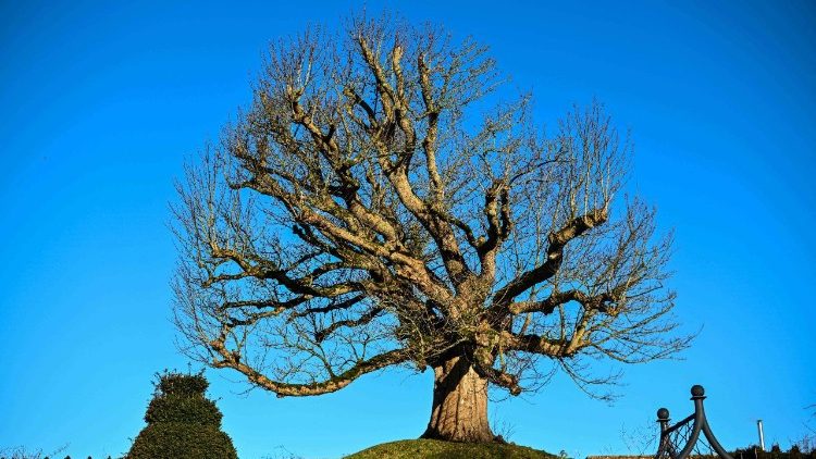 Dumfries House - Skotsko, ilustrační foto