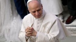 VATICAN-RELIGION-POPE-AUDIENCE