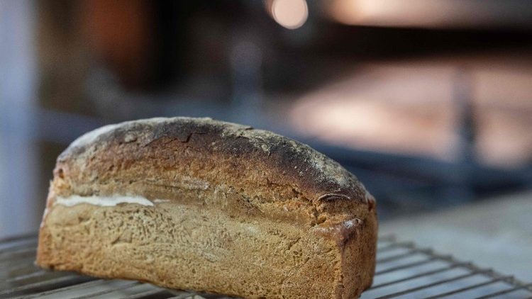 FRANCE-AGRICULTURE-FARM