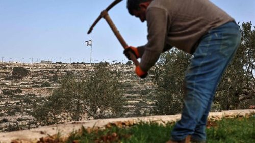 Heiliges Land: Israel dr&auml;ngt auf Annexion des Westjordanlands 