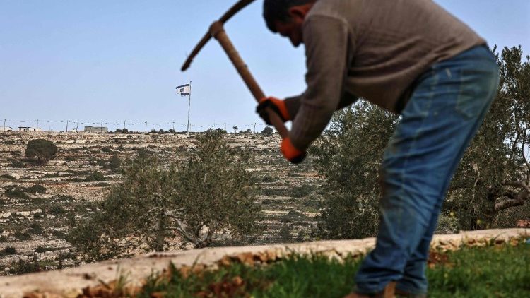 Ein Palästinenser bewirtschaftet Land in der besetzten West Bank
