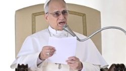 संत पापा लियो आमदर्शन समारोह में