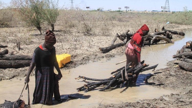 Frauen im Südsudan auf der Suche nach Brennholz