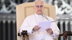 மறைக்கல்வி உரை வழங்கும் திருத்தந்தை 