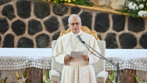 Friedenstreffen in Kamerun mit Leo XIV.: Die Papstansprache im Wortlaut