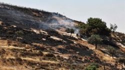 Terreni agricoli dati alle fiamme in Cisgiordania 
