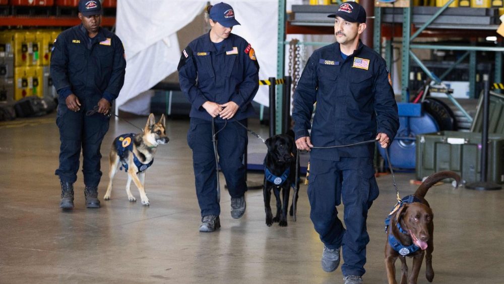Membros da equipe internacional de busca e resgate urbano (USA-2) do Corpo de Bombeiros do Condado de Los Angeles caminham com cães farejadores antes de viajarem para a Venezuela, em Pacoima, Califórnia, em 25 de junho de 2026. A equipe USA-2 partirá em resposta aos terremotos na Venezuela. Setenta e um membros da equipe, juntamente com seis cães, serão enviados à Venezuela para auxiliar nos esforços de busca e resgate. Os Estados Unidos anunciaram na quinta-feira que estavam mobilizando US$ 150 milhões em ajuda para a Venezuela, após dois fortes terremotos terem matado pelo menos 188 pessoas e deixado centenas de feridos, enquanto equipes de resgate de todo o mundo se mobilizavam para prestar auxílio. (Foto de Blake Fagan / AFP)