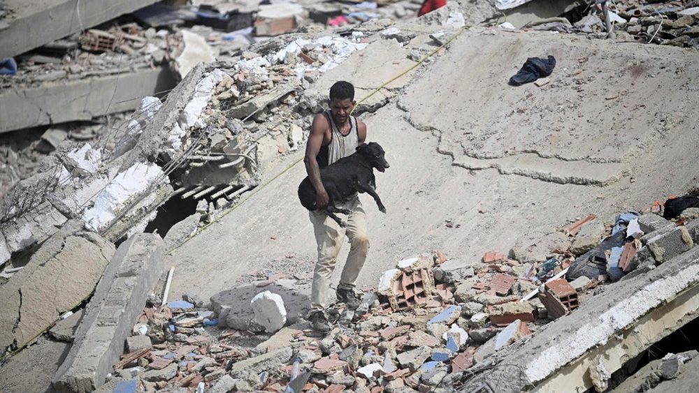 Um voluntário carrega um cão resgatado sobre os escombros de um prédio que desabou após os terremotos gêmeos em Caraballeda, estado de La Guaira, a cerca de 40 km a nordeste de Caracas, em 25 de junho de 2026. O número de mortos pelos terremotos gêmeos, de magnitudes 7,2 e 7,5, subiu para pelo menos 188, com mais de 1.520 feridos, informou o deputado Jorge Rodríguez, enquanto moradores continuam buscando por parentes desaparecidos. (Foto de Federico Parra / AFP)