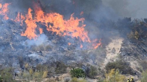 Obispo de Almer&iacute;a se une al dolor por tr&aacute;gico incendio en B&eacute;dar