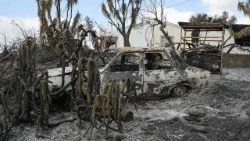 Una de las postales desoladoras tras el incendio en Bédar y Los Gallardos
