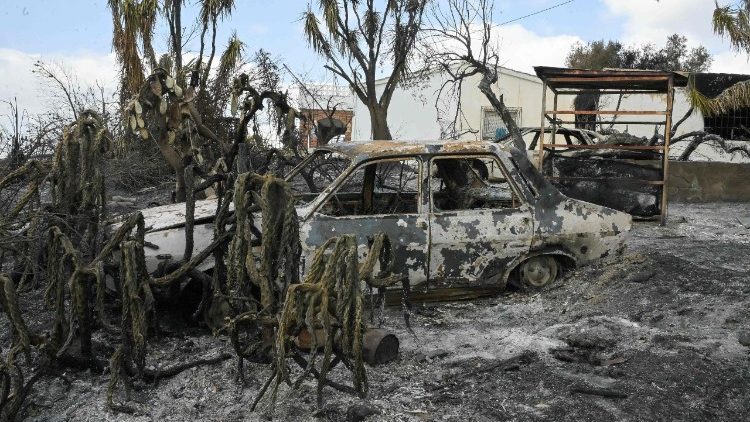 Una de las postales desoladoras tras el incendio en Bédar y Los Gallardos