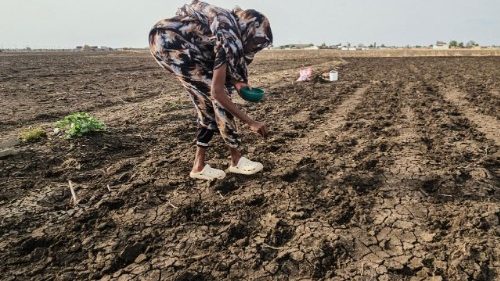 Misereor: Ganzheitliche Ans&auml;tze zur Hungerbek&auml;mpfung n&ouml;tig 
