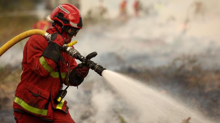 Un pompier arrose les foyers d'incendie à Marcheprime, à l'ouest de Bordeaux, le 26 juillet, alors qu'un feu ravage la forêt au nord du bassin d'Arcachon depuis le 22 juillet.