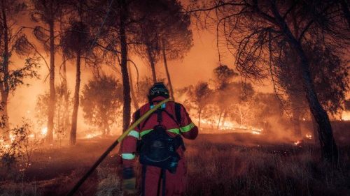 Spanien: Kirche hilft Betroffenen der Waldbr&auml;nde