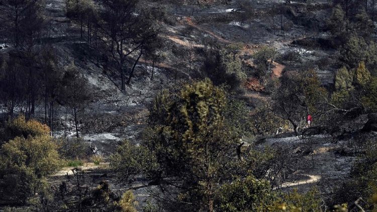 La devastazione degli incendi nei pressi di Valencia in Spagna