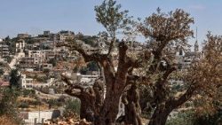 Cette photo, prise le 22 juin 2026, offre une vue d'ensemble du village chrétien palestinien de Taybeh, au nord-est de Ramallah, en Cisjordanie.