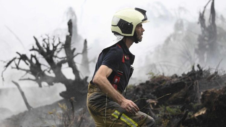 Hujan mulai turun di Belgia pada 17 Agustus 2026, membantu upaya negara tersebut dalam menghadapi kebakaran hutan terbesar di zaman modern yang telah meluluhlantakkan sekitar 3.000 hektare (7.500 acre) kawasan High Fens di perbatasan dengan Jerman