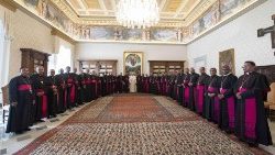 Papež František přijal Konferenci biskupů Indie v září 2019