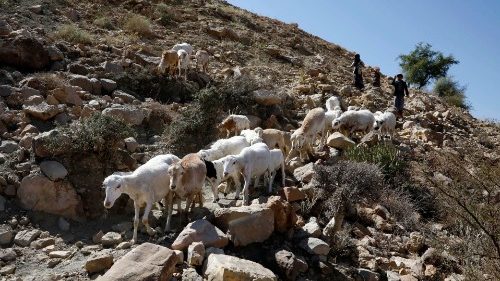 A criação de gado e a agricultura nas montanhas do Iêmen, devastado pela guerra