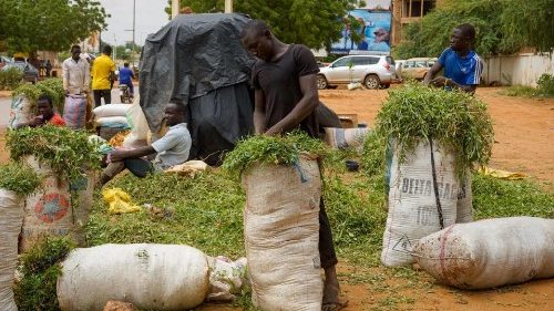Niger: Eigentliche Themen sind Bodenschätze und Migration