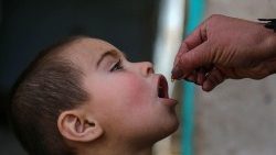 Polio vaccination campaign in Kabul 