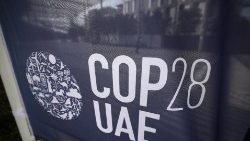 In Dubai startet der Klimagipfel COP28