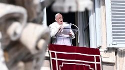 Efter agnelusbönen idag, söndagen den 10 december, med omkring 25 000 troende på Petersplatsen, påminde påven Franciskus om betydelsen av med visdom och tålamod arbeta för fredlig samexistens i konflikter