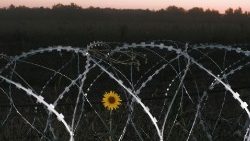 Estruturas de fortificação perto da fronteira entre a Ucrânia e a Rússia, na região de Sumy, Ucrânia. EPA/GEORGE IVANCHENKO