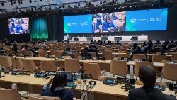Un momento dell'assemblea plenaria della Cop29 a Baku