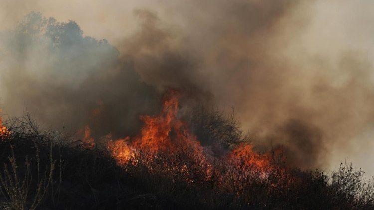 लॉस एंजिल्स क्षेत्र में जंगली आग का प्रकोप जारी है