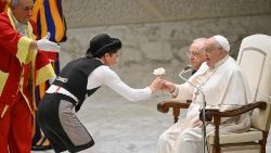 ഫ്രാൻസിസ് പാപ്പാ പൊതുകൂടിക്കാഴ്ചാവേളയിൽ 