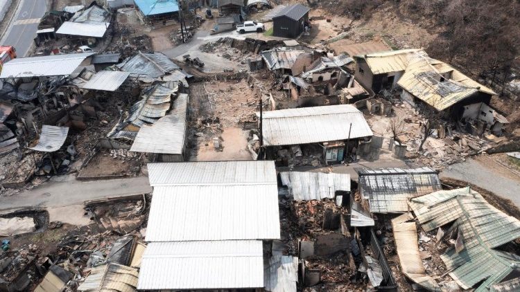 दक्षिण कोरिया के दक्षिण-पूर्वी क्षेत्र में लगी जंगली आग