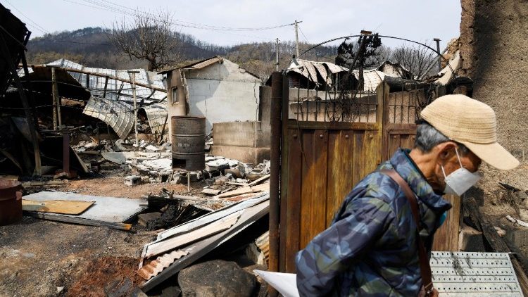 South Korea grapples with wildfires in southeastern region