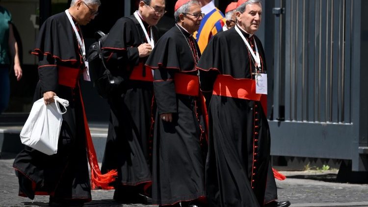 आम सभा में शामिल होने जा रहे कार्डिनल 02.05.2025