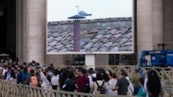 Auch eine „medienaffine Möwe“ (Formulierung der KNA) wartet auf das Rauchzeichen