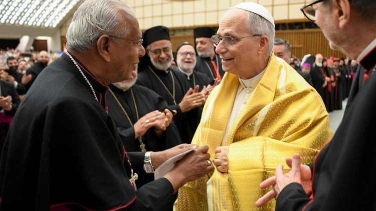 Papst Leo mit Audienzteilnehmern