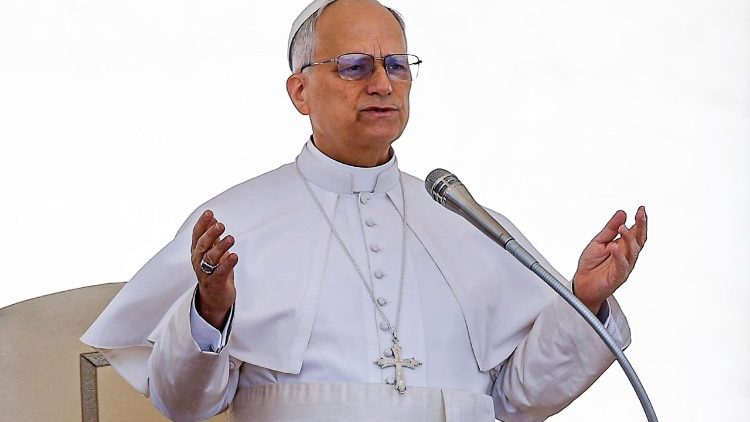 Papa all'udienza generale