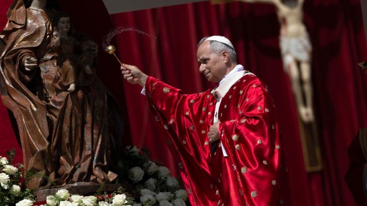 Святая Месса в Ватикане (8 июня 2025 г.)